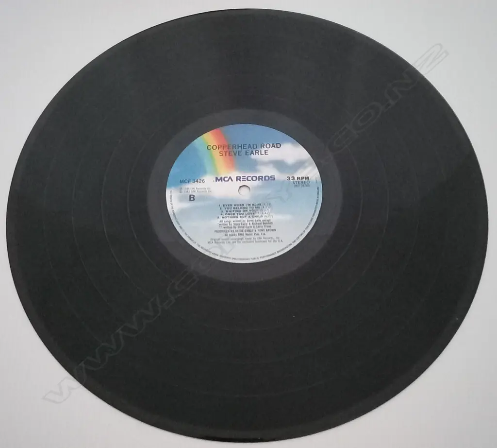 Steve Earle, Copperhead Road Image 1++